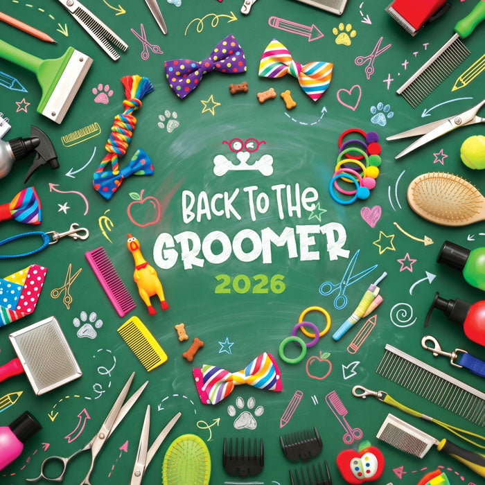 AUGUST MARKETING